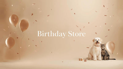 BIRTHDAY STORE
