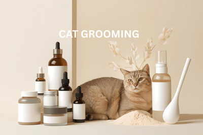 CAT GROOMING