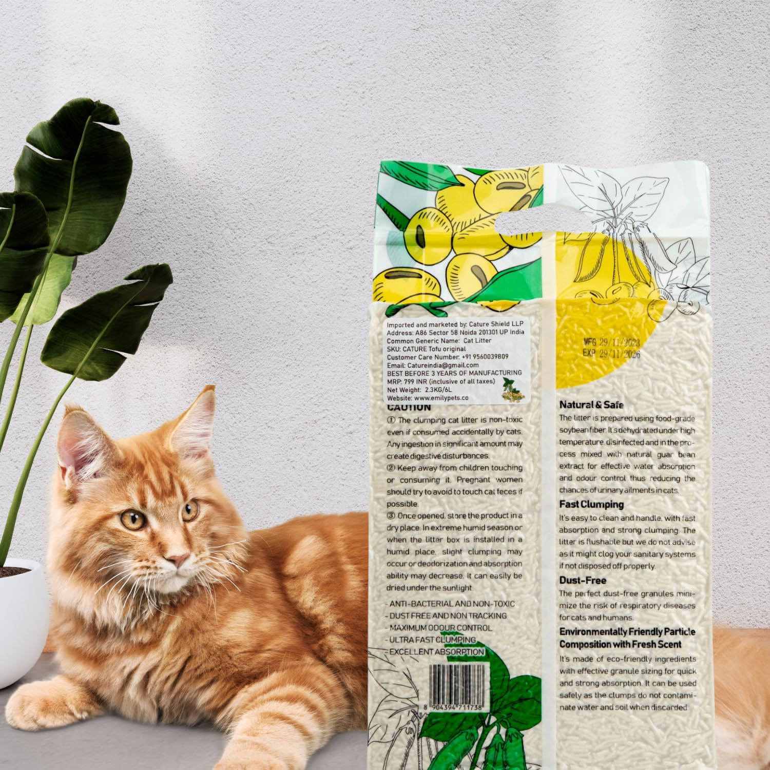 Cature Care by Nature Tofu Cat Litter Natural Flushable Clumping Litter Plant Based Biodegradable Ultra Odour Control 99% Dust Free Low Tracking Cat Litter (Original, 6L, PACK2)