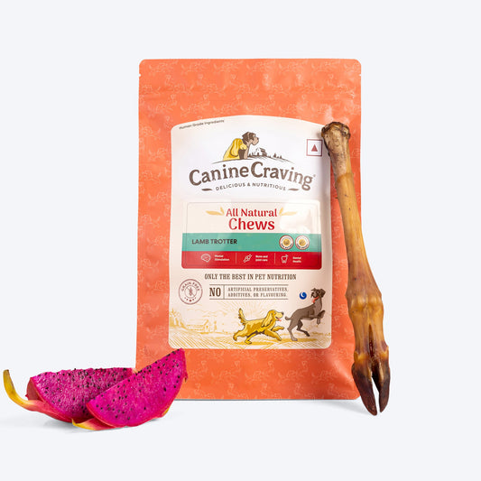 Canine Craving Dehydrated Lamb Trotter Dog Treat - 1 Piece - 75g
