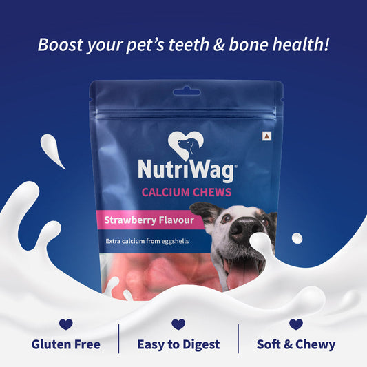 NutriWag Strawberry Calcium Chew Bones Treats For Dog