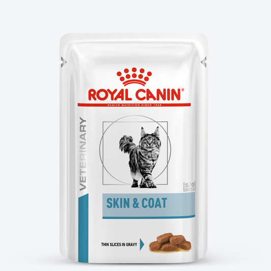 Royal Canin Skin & Coat Wet Food For Cat - 100 gm